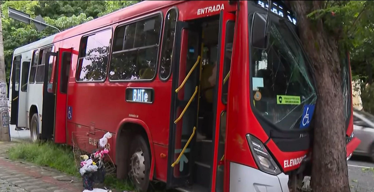 Ônibus bate em árvore no bairro Cidade Nova e deixa passageiros feridos